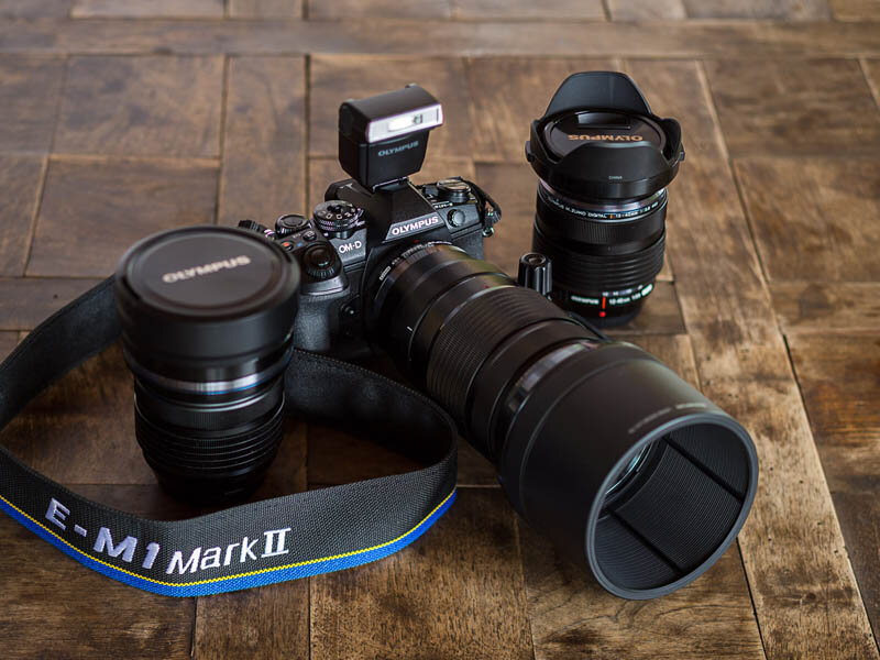 Olympus OMD EM-1 Mark ii Wildlife & Nature Field Review Olympus OMD EM-1 Mark ii Wildlife & Nature Field Review